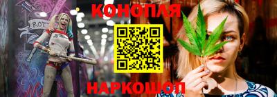 ECSTASY Новозыбков