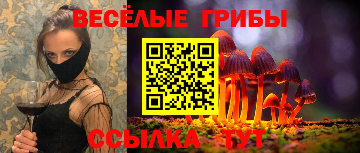Псилоцибиновые грибы MAGIC MUSHROOMS  Вход с VPN  Симферополь 